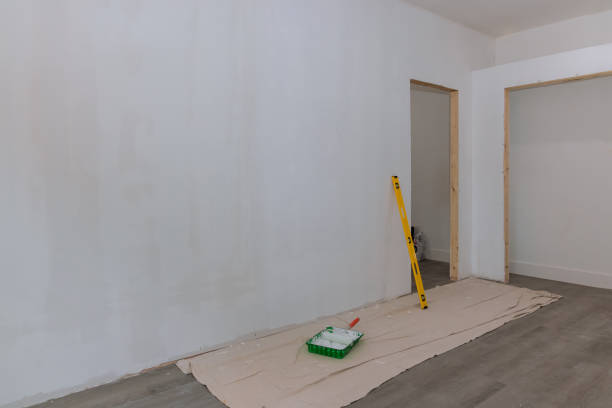 Best Expert Drywall Texturing  in Plainview, NE