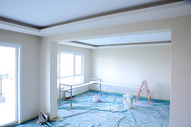 Best Residential Painting Experts  in Plainview, NE